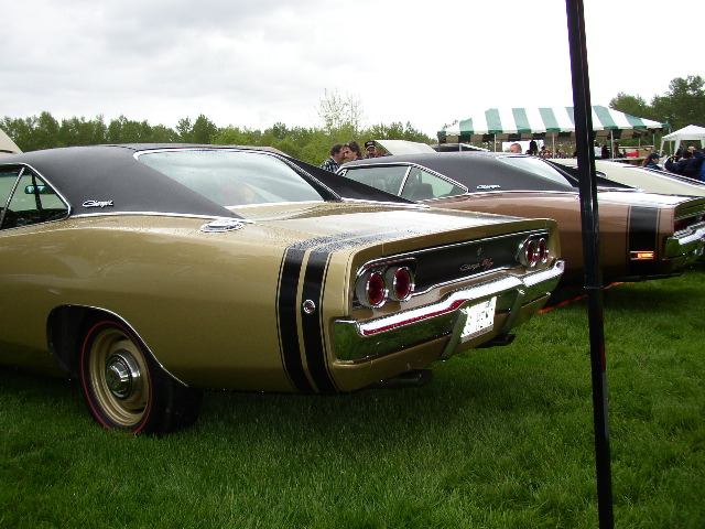 P1010106.JPG